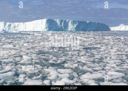 Huge icebergs from the nearby Ilulissat Icefjordrammed into the terminal moraine near Ilulissat, Western Greenland, Polar Regions Stock Photo