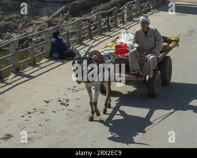 Man on a donkey cart near the Memphite Necropolis, UNESCO World Heritage Site, Egypt, North Africa Africa Stock Photo