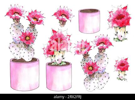 Set of watercolor cactus with red flowers, isolated on white background. Hand drawn illustration. Stock Photo