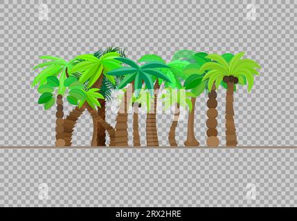 Palm tree, forest, jungle isolated in caricature style, set on transparent background. Vector illustration. Trees are summer sun tropical beach, a nat Stock Vector