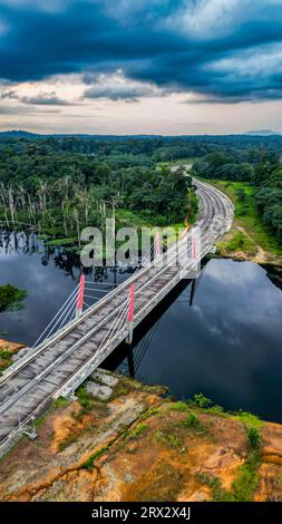 Aerial of a bridge cutting through the jungle to the future capital Ciudad de la Paz, Rio Muni, Equatorial Guinea, Africa Stock Photo