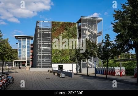 Bottrop, North Rhine-Westphalia, Germany - Wall-bound facade greening at the P+R parking garage at Bottrop train station. The plants on the 80 square Stock Photo