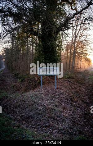 France, Brittany, Saint-Helen on 2021-12-21. The state forest of Coetquen at sunrise in late autumn. Photograph by Martin Bertrand. France, Bretagne, Stock Photo