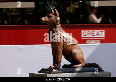 Non Exclusive: September 21, 2023, Mexico City, Mexico: The monument to the rescue dog “Proteo”, who died in Turkey in February 2023 in rescue actions Stock Photo