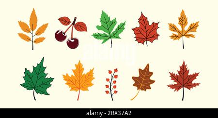 Collection of seasonal plants and leaves in an autumnal style. Flowers, leaves, and plants drawn by hand. Natural components with color for seasonal b Stock Vector