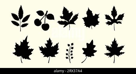Collection of seasonal plants and leaves in an autumnal style. Flowers, leaves, and plants drawn by hand. Natural components with color for seasonal b Stock Vector
