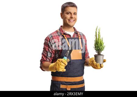 Gardener holding a small evergreen tree in a pot and hand pruners isolated on white background Stock Photo