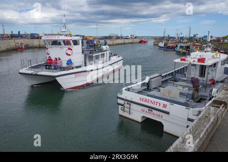 Seahouses, UK - 13 July, 2023: Fishing boats in Seahouses Harbour, Northumberland Stock Photo