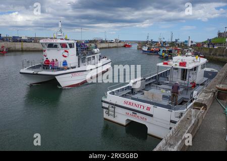 Seahouses, UK - 13 July, 2023: Fishing boats in Seahouses Harbour, Northumberland Stock Photo