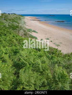 Low Newton, UK - 13 July 2023: Beach views on the Northumberland coast from Low Newton by the Sea Stock Photo