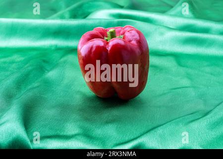 A brilliant red sweet bell pepper takes center stage against a lush green background, its vivid color contrasting beautifully with the vibrant green. Stock Photo