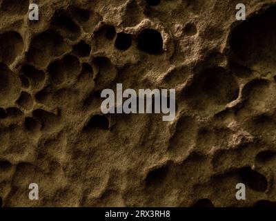 Natural stone It is shaped like a honeycomb hole. Weathered ancient stone covered in holes. Close up photo of the texture of a mountain rock. Film and Stock Photo