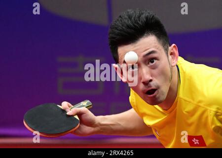 Hangzhou, China. 22nd Sep, 2023. Chun Ting Wong of Hong Kong is seen in action during the 19th Asian Games Men's Table Tennis Team Preliminary Group match between Democratic People's Republic of Korea and Japan held at the Gongshu Canal Sports Park Gymnasium. Wong won the match 3-1 against Nima Alamian Darounkolaei( not pictured) of the Islamic Republic of Iran. Final score Hong Kong 3:1 Islamic Republic of Iran. (Photo by Luis Veniegra/SOPA Images/Sipa USA) Credit: Sipa USA/Alamy Live News Stock Photo