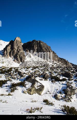 View of trees, moutains and blue sky Stock Photo - Alamy