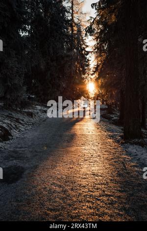 Golden sunrise in winter forest - snowy road. Vertical photo of way in the mountains with beautiful sunlight on background. Stock Photo