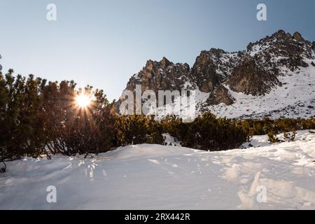 Beautiful sunset on moutains in winter. Sunrays lightings throught the coniferous trees - snow covered landscape with huge mountain peaks and clear bl Stock Photo