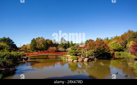 The Toowoomba Japanese Garden is a botanic garden established in 1989 for public recreation. Stock Photo