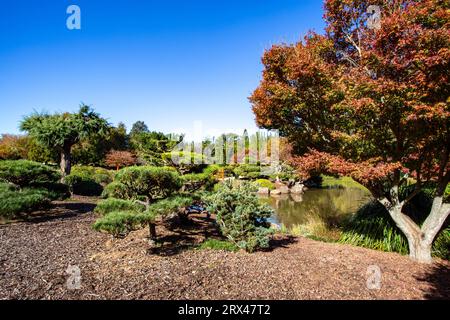 The Toowoomba Japanese Garden is a botanic garden established in 1989 for public recreation. Stock Photo