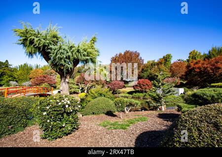 The Toowoomba Japanese Garden is a botanic garden established in 1989 for public recreation. Stock Photo