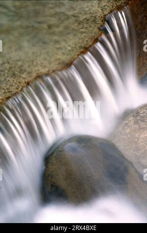 Walker Brook along Falling Waters Trail, Franconia Notch State Park, New Hampshire Stock Photo