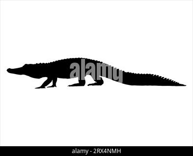 Alligator silhouette vector art white background Stock Vector