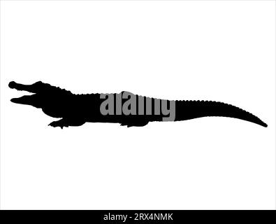 Alligator silhouette vector art white background Stock Vector