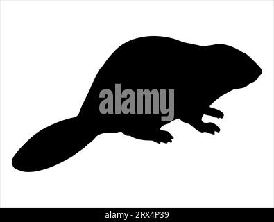 Beaver silhouette vector art Stock Vector