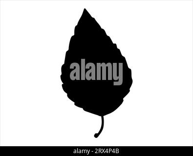 Beech leaf silhouette vector art Stock Vector