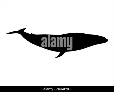 Blue whale silhouette vector art white background Stock Vector