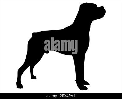 Boxer dog silhouette vector art white background Stock Vector