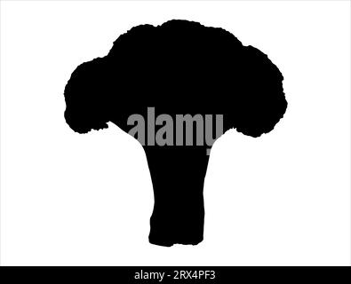 Broccoli silhouette vector art white background Stock Vector