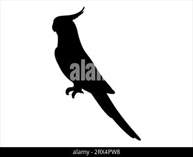 Cockatiel silhouette vector art white background Stock Vector