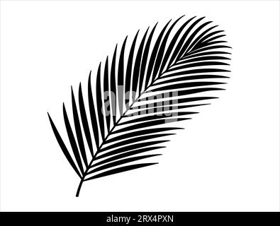 Coconut leaf silhouette vector art white background Stock Vector