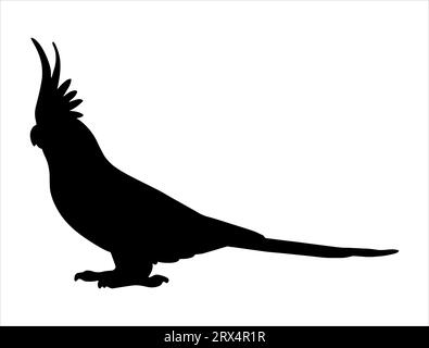 Cockatiel silhouette vector art white background Stock Vector