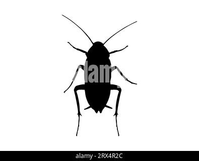 Cockroach silhouette vector art white background Stock Vector