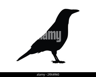 Crow silhouette vector art white background Stock Vector