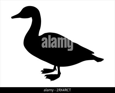 Duck silhouette vector art white background Stock Vector