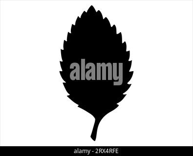 Elm leaf silhouette vector art white background Stock Vector