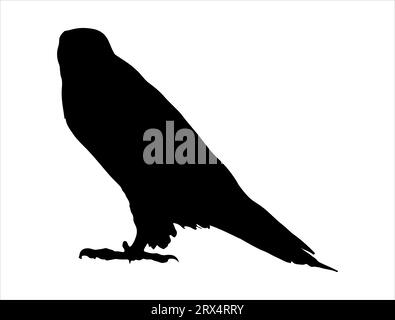 Osprey silhouette vector art white background Stock Vector