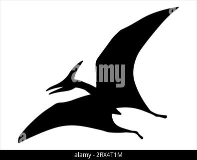 Pterodactyl silhouette vector art white background Stock Vector