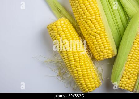 Corn on white background Stock Photo