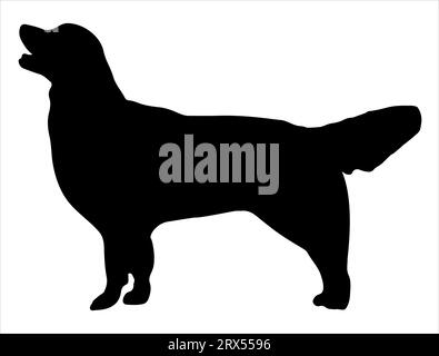 Golden retriever dog silhouette vector art white background Stock Vector