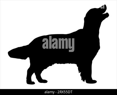 Golden retriever dog silhouette vector art white background Stock Vector