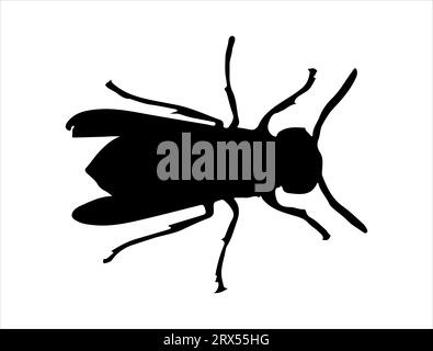 Hornet silhouette vector art white background Stock Vector
