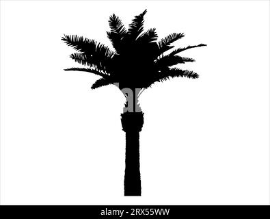Palm tree silhouette vector art white background Stock Vector