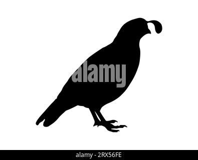 Quail bird silhouette vector art white background Stock Vector