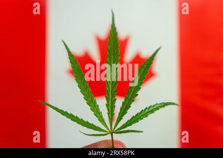 a hemp leaf on background of the canadian flag. Concept of legalization and changes in legislation regarding cultivation and use of marijuana in the c Stock Photo