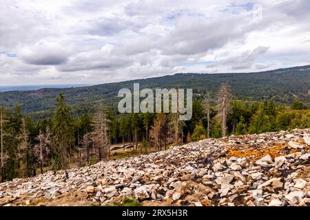Beautiful hike through the Hochtaunus at the Feldberg on a beautiful late summer day - Hesse - Germany Stock Photo