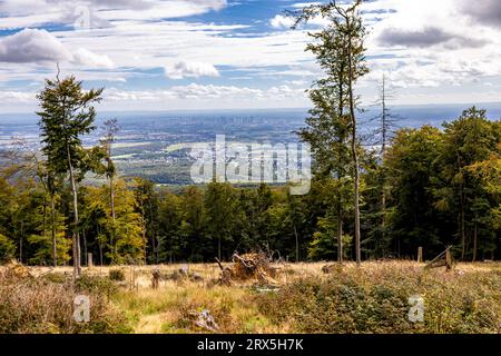 Beautiful hike through the Hochtaunus at the Feldberg on a beautiful late summer day - Hesse - Germany Stock Photo