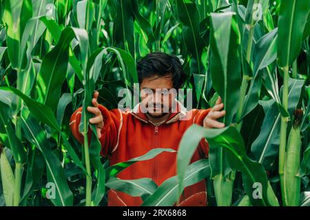 Man standing amdist corn crops in field Stock Photo